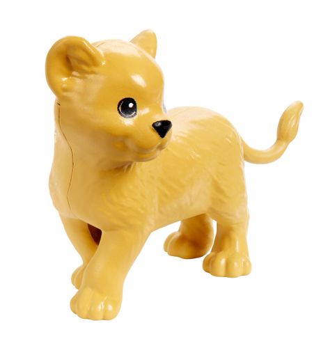 Fotografka na Arena.pl