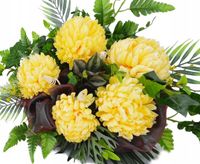 product-compare-61432261