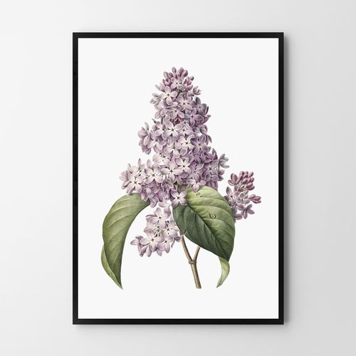 Plakat kwiat bzu vintage plakaty 21x29,7 cm A4 na Arena.pl