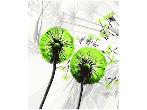 60CM 50CM OBRAZ ŚCIENNY DMUCHAWCE KOLORZE LIMONKI DRUK PŁÓTNO na Arena.pl