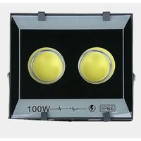 Halogen Led 100W Mocny 10000Lm Zimny Cob 2 X 50W Wodoodporny Ip66
