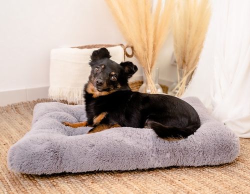 Hipoalergiczna poducha dla psa puchate legowisko Mimiko Shaggy L 65x45cm na Arena.pl