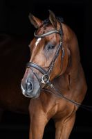 Ogłowie dla konia Clincher, brązowy, roz. Full, Covalliero