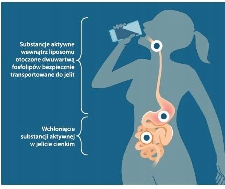 Aliness LIPOSOL LIPOSOMALNA WITAMINA C NA ODORNOŚĆ BUFOROWANA 1000mg 40sasz zdjęcie 3