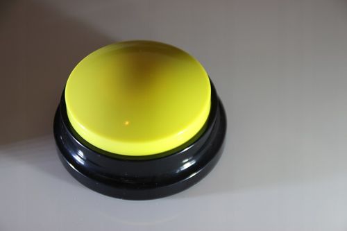 PRZYCISK SZKOLENIA Psa Kota NAGRYWANIE DŹWIĘKU przyciski NAUKA 2szt MP097 na Arena.pl