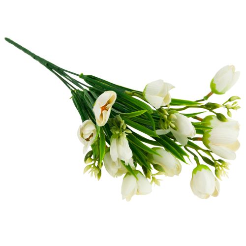 KROKUS BUKIET KROKUSÓW KROKUSY W TRAWIE BIAŁE na Arena.pl