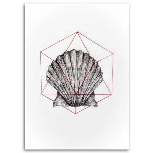 Deco Panel, Geometryczna muszla 40x60 na Arena.pl