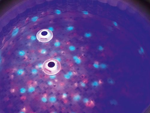 Lampa basenowa LED Bestway 58419 na Arena.pl