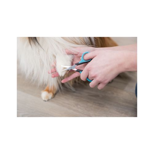 trixie nożyce pielęgnacyjne 8cm na Arena.pl