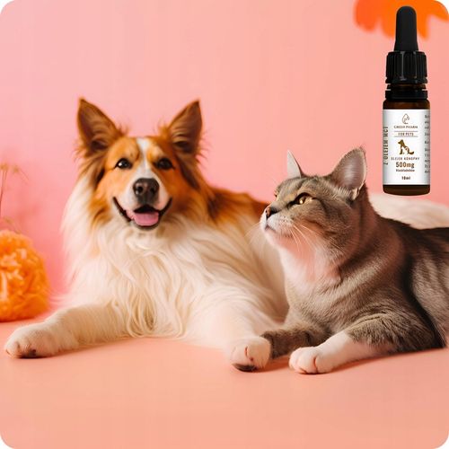 Olejek CBD dla Psa i Kota 5% 500 mg | Weterynaryjny | Bez THC | Bezsmakowy na Arena.pl