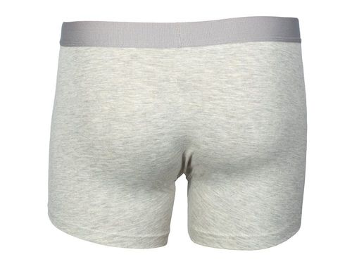 Bokserki Nasa Boxer Basic-Worm Grey-Grey NASA-BOXER16 M na Arena.pl