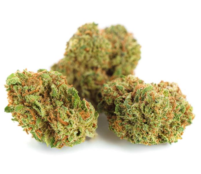 Susz konopny CBD  White Widow 10 g zdjęcie 5