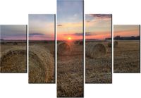 product-compare-58675887