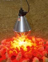 Oprawa promiennika, kabel 5,0 m, 230 V,  Kerbl
