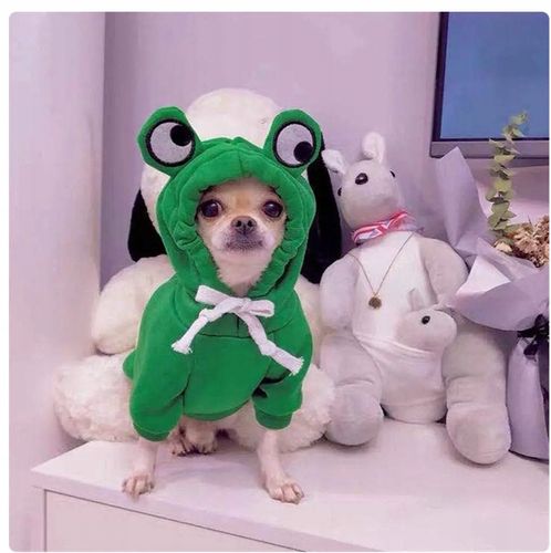 UBRANIE PRZEBRANIE DLA PSA KOTA BLUZA Z KAPTUREM ZIELONA ŻABA S na Arena.pl