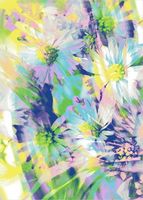 Dywan Agnella Funky Top Mag 200X280Cm Lazur