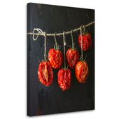 Obraz do kuchni restauracji baru jadalni, Suszone pomidory