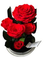 Ogród w Szkle - 5 Zakonserwowanych Czerwonych Róż