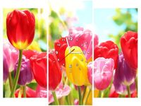 90CM 70 ZEGAR 3 ELEM ŻÓŁTY TULIPAN SCIENNY DRUK