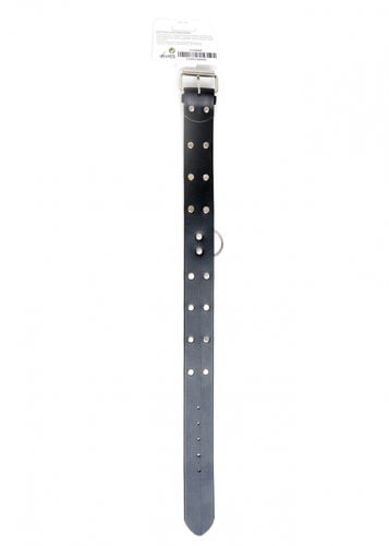 fetish b   series collar with studs 4 cm na Arena.pl