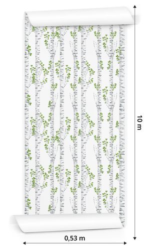 Tapeta Piękne Brzozy Latem na Arena.pl