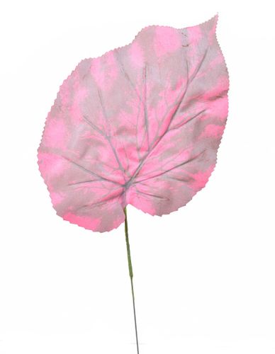 Liść flokowany różowy na Arena.pl