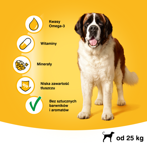 Pedigree Jumbone Large (Maxi) 210g na Arena.pl