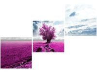 OBRAZ FIELD&TREE POLE DRZEWO KOLORY