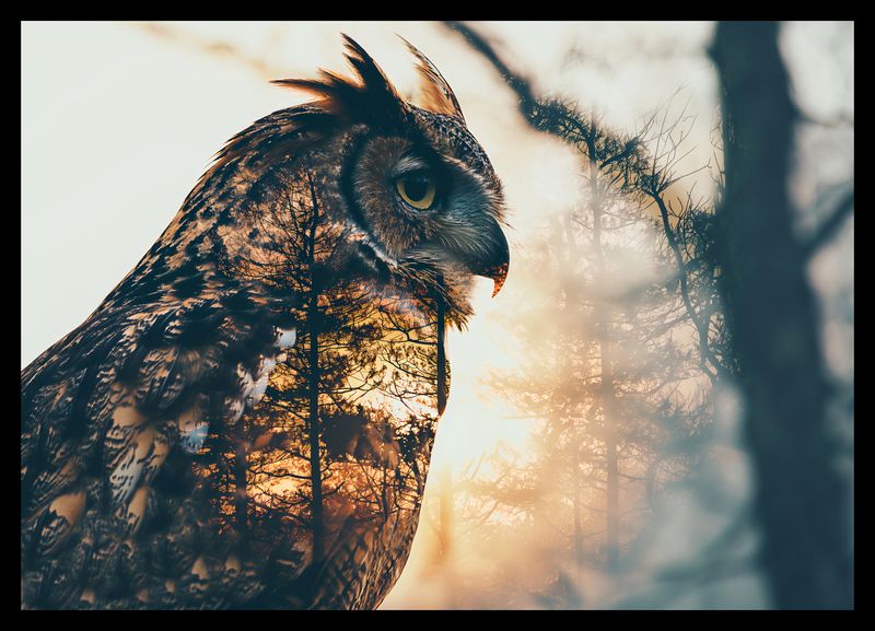 Plakat 42x29,7cm Sowi Duch zdjęcie 2