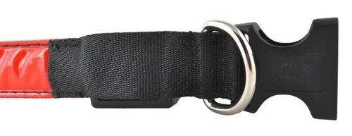 Obroża LED czerwona - M na Arena.pl