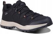 Icepeak AHOLA - Buty trekkingowe - czarne R39