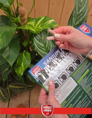 SANIUM PIN 2w1 Pałeczki Owadobójcze + Nawozowe na Ziemiórki MEGAPAKA na Arena.pl