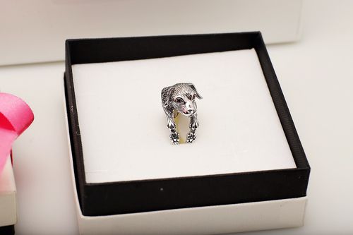 Srebrny pierścionek Staviori na Arena.pl