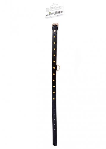 fetish b   series   collar 2 cm gold crystal na Arena.pl