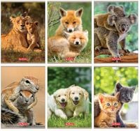 zeszyt a5/32k linia podwójna kol animals 3076 a'10