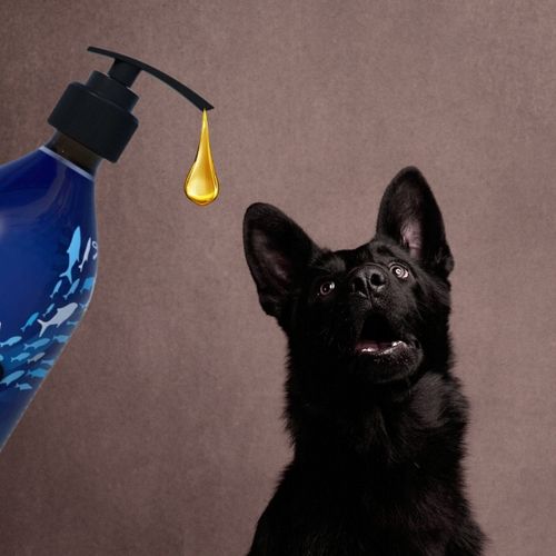 HOLISTA Tran z Dorsza 500ml Tran z watroby dorsza na Arena.pl