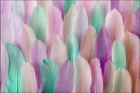 Tło fotograficzne Produktowe FLAT LAT Kulinarne