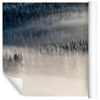 Fototapeta Las we Mgle Drzewa NATURA do Salonu 368cm x 254cm