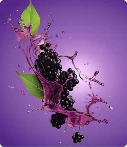 Sambucol Junior 6+ czarny bez, syrop na odporność 120 ml x2 + GRATIS na Arena.pl