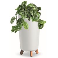 Donica wysoka tuba okrągła 23,9cm biały mat