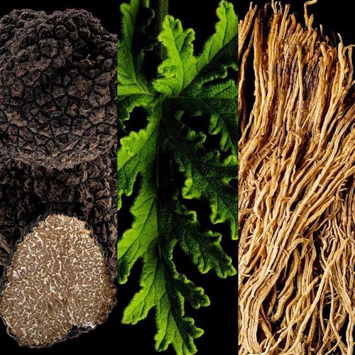 Bad Boy Cobalt woda perfumowana spray 100ml na Arena.pl