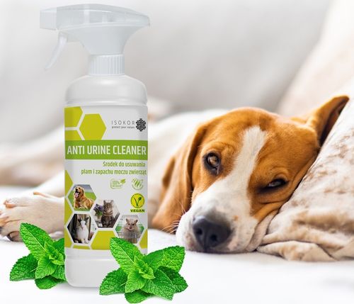NEUTRALIZATOR POCHŁANIACZ ZAPACHÓW MOCZU PSA 1L ISOKOR ANTI URINE NATURALNY na Arena.pl