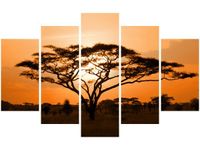 product-compare-58676504