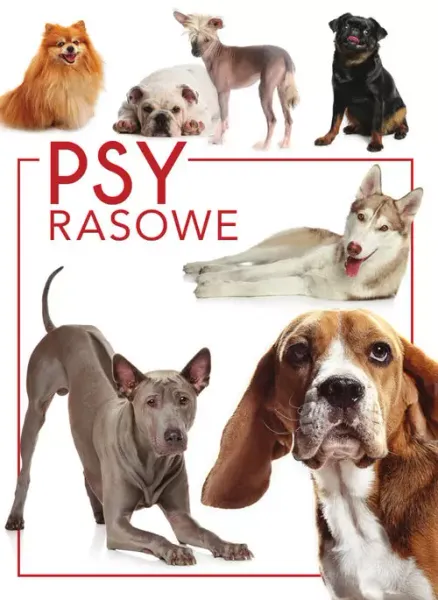 Psy rasowe zdjęcie 1