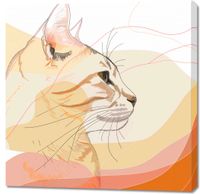 Obraz 90x90cm Delikatny Profil Kota