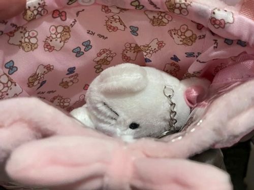 Torebka z Uroczym breloczkiem pluszowym Hello Kitty DZIECIĘCA MŁODZIEŻOWA na Arena.pl