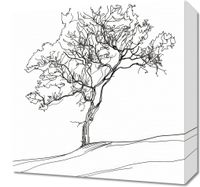 Obraz 40x40cm Drzewo w Zarysie