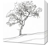 Obraz 40x40cm Drzewo w Zarysie