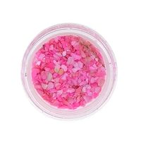 Płatki muszli kruszonej do paznokci ozdoby do hybrydy żelu CS34