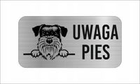 GRAWER Tabliczka nierdzewna 20x10 UWAGA PIES Sznaucer